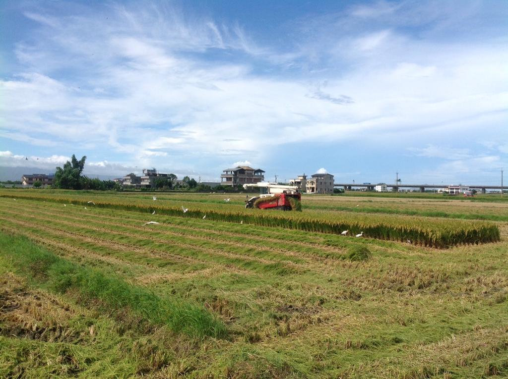 Countryside B&B Zhuangwei Ngoại thất bức ảnh